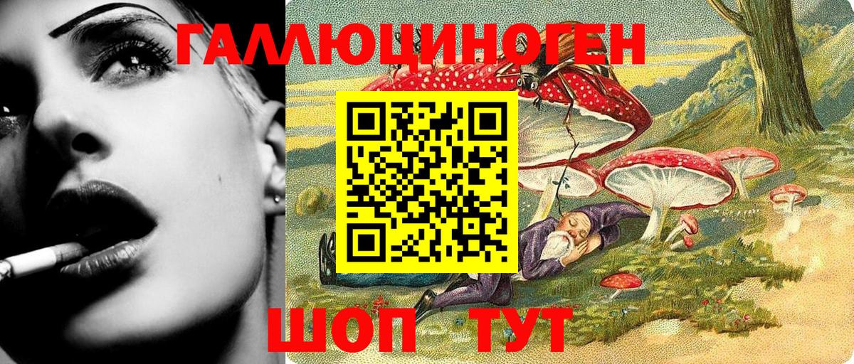 Галлюциногенные грибы Psilocybe Нижнекамск